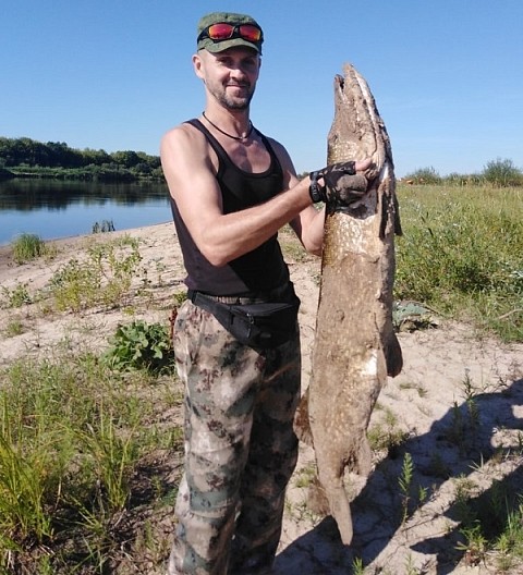 Нижегородский рыбак поймал гигантскую щуку