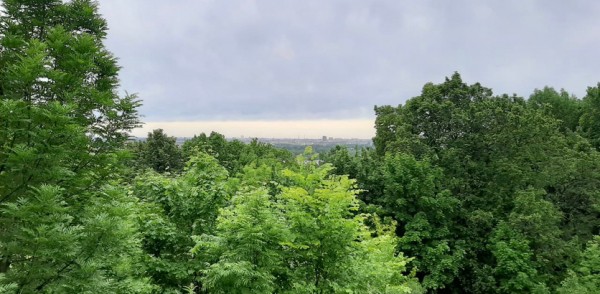 Юрий Шалабаев подписал постановление о создании общественного совета по благоустройству парка «Швейцария» Юрий Шалабаев подписал постановление о создании общественного совета по благоустройству парка «Швейцария»