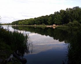 Мужчина утонул на Щелоковском хуторе