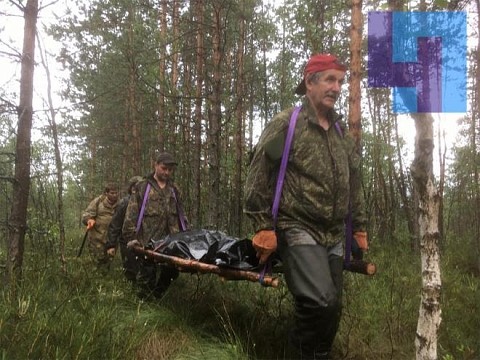 Тело нижегородского летчика, погибшего 77 лет назад, нашли под Петербуогом