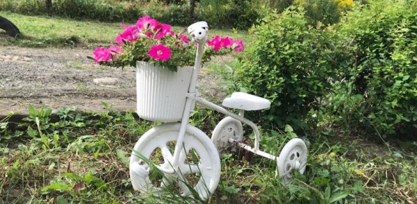 Лучший палисадник частного сектора выберут в Советском районе