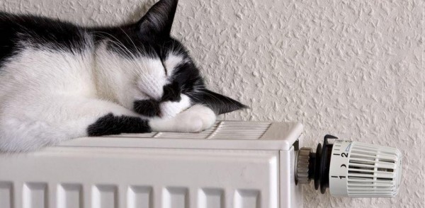 99% учреждений дошкольного, общего и дополнительного образования Нижегородского района готовы к отопительному сезону 99% учреждений дошкольного, общего и дополнительного образования Нижегородского района готовы к отопительному сезону