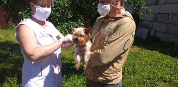 Выездная вакцинация животных против бешенства  начнется в поселке Зелёный город с 20 августа