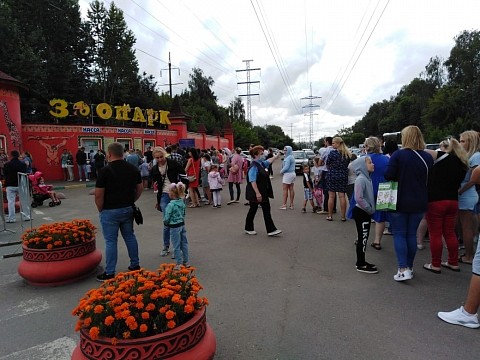 В зоопарке «Лимпопо»  образовалась огромная очередь за билетами