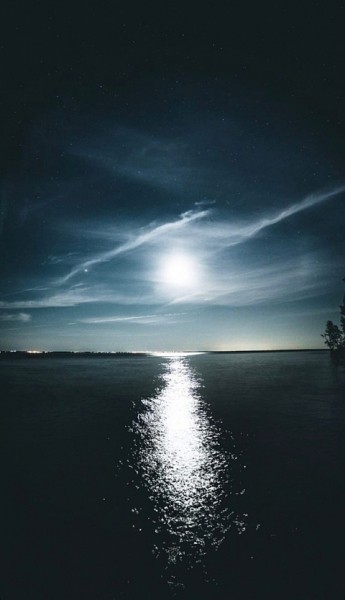 Нижегородцы показали летний звездопад Нижегородцы показали летний звездопад