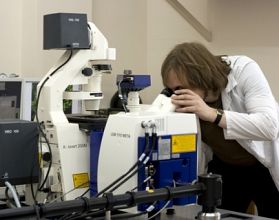 Препарат от малярии вылечивает за неделю 70% COVID-больных  