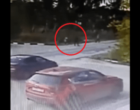 Пропавшая на Бору 9-летняя Лера Пазухина была убита