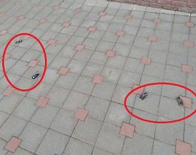 Новое здание-убийца птиц появилось в Нижнем Новгороде