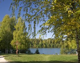 Численность коростеля увеличилась в Нижегородской области