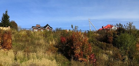 На Щелоковском хуторе владельца одного из домов заподозрили в сливе канализации в озеро