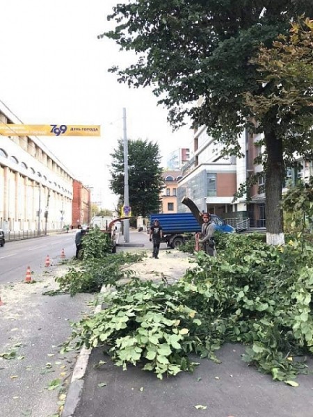 В центре Нижнего Новгорода срубили липовую аллею