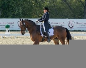 Чемпионат и первенство Нижегородской области по выездке стартуют 3 сентября