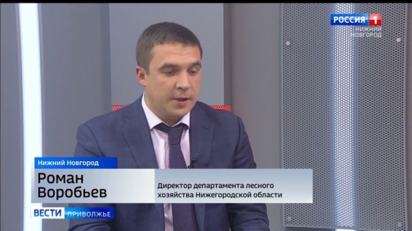 В Нижегородской области ведется космический мониторинг лесов. Что это? И как работает?