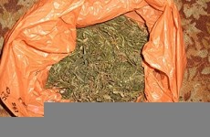 Крупная нарколаборатория обнаружена в Васильсурске