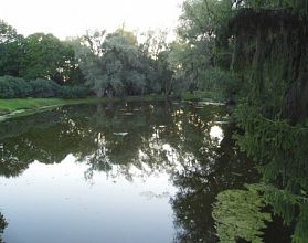 Тело мужчины обнаружили в пруду Арзамаса