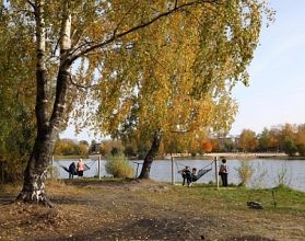 Вокруг территории Светлоярского парка может быть обустроена ливневая канализация