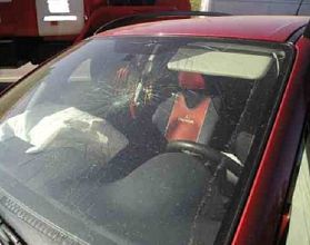 77-летняя женщина погибла под машиной в Арзамасском районе 