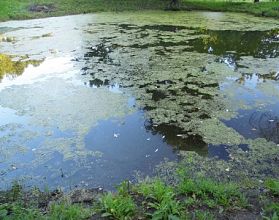 Мужчина утонул на Автозаводе Мужчина утонул на Автозаводе