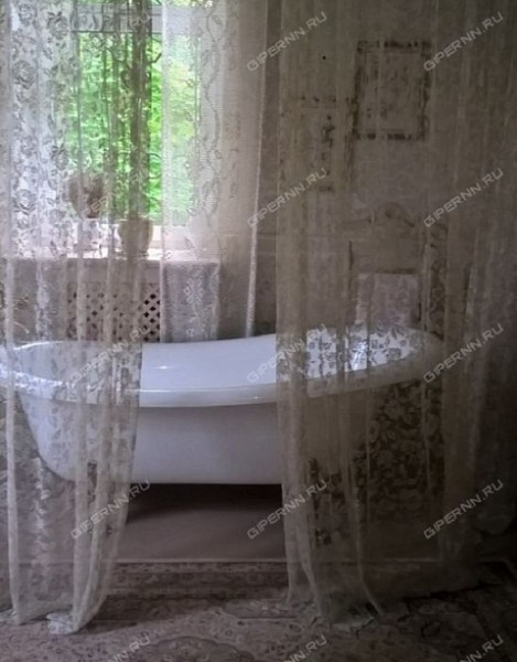 Нижегородцы продают «дворянскую усадьбу» в Зеленом городе