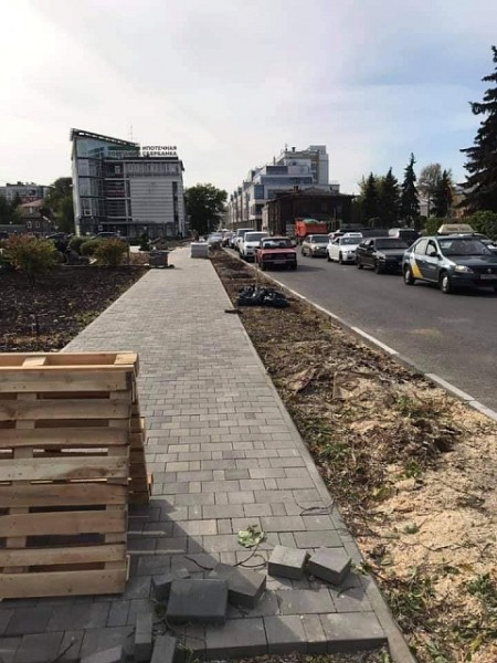 В центре Нижнего Новгорода срубили липовую аллею