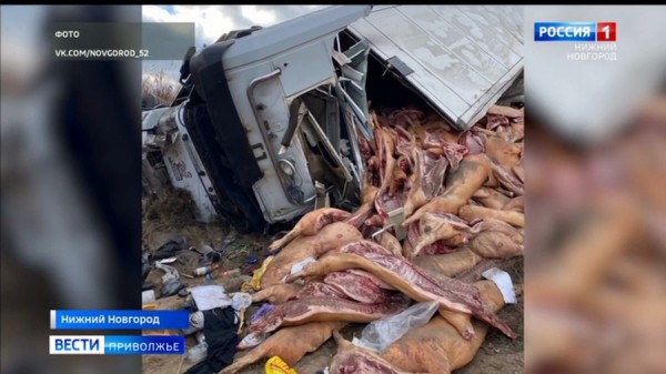 Свиной развал на объездной трассе Свиной развал на объездной трассе