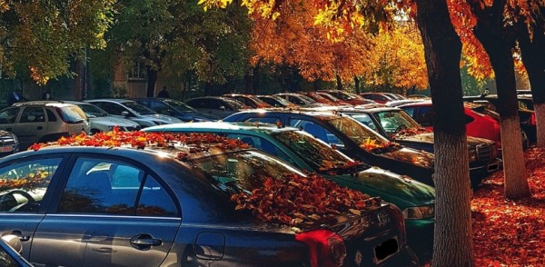 Сеть платных парковок в Нижнем Новгороде заработает в тестовом режиме до конца 2020 года Сеть платных парковок в Нижнем Новгороде заработает в тестовом режиме до конца 2020 года