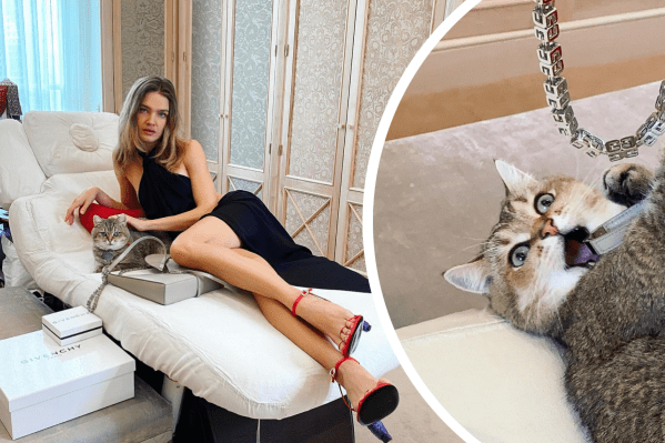 Водянова опубликовала фото с бесконечными ногами, но все в восторге от ее кота Водянова опубликовала фото с бесконечными ногами, но все в восторге от ее кота