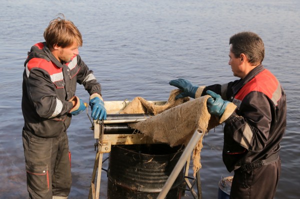 Около 600 литров нефтепродуктов собрано с поверхности Волги в районе Бурнаковской низины