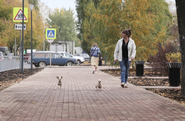Юрий Шалабаев проверил после благоустройства сквер по проспекту Кораблестроителей
