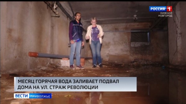 На улице Страж революции в подвале жилого дома из стены уже месяц течет горячий ручей