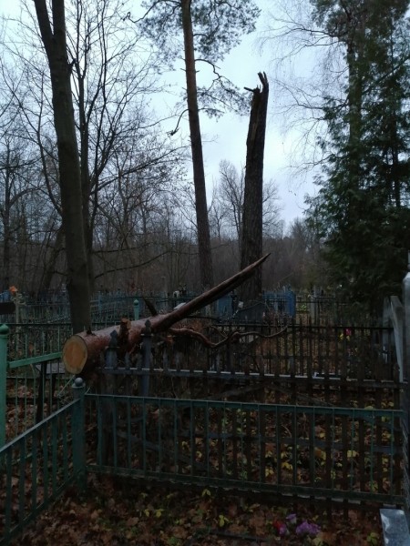 Спиленные деревья повредили могилы на кладбище под Дзержинском