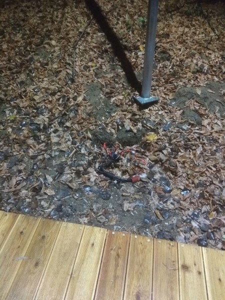 Власти Дзержинска объяснили, почему в парке «Утиное озеро» валялись оголенные провода Власти Дзержинска объяснили, почему в парке «Утиное озеро» валялись оголенные провода