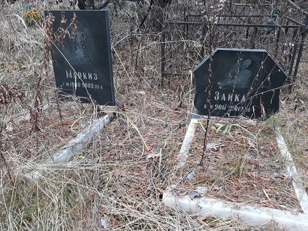 Платное кладбище для животных нелегально открыли в Дзержинске Платное кладбище для животных нелегально открыли в Дзержинске