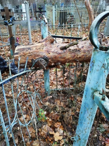 Спиленные деревья повредили могилы на кладбище под Дзержинском