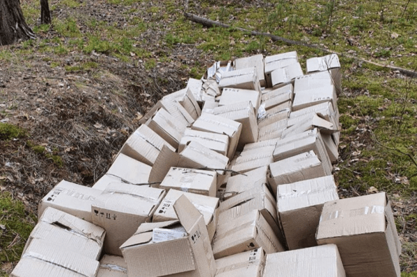 В Дзержинске осудят медсестру, выбросившую 67 коробок с вакциной от гриппа В Дзержинске осудят медсестру, выбросившую 67 коробок с вакциной от гриппа