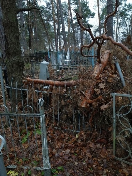 Спиленные деревья повредили могилы на кладбище под Дзержинском