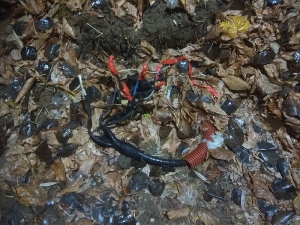 Власти Дзержинска объяснили, почему в парке «Утиное озеро» валялись оголенные провода Власти Дзержинска объяснили, почему в парке «Утиное озеро» валялись оголенные провода