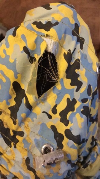 Агрессивная собака напала на жительницу Кстова с питомцем
