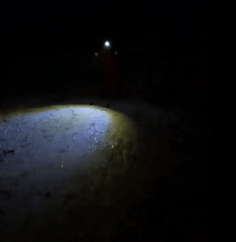 Дети-лыжники тренируются на Щелоковском хуторе в полной темноте 