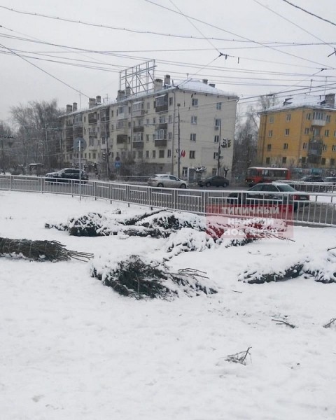 «Кладбище ёлок» появилось на улицах Нижнего Новгорода «Кладбище ёлок» появилось на улицах Нижнего Новгорода