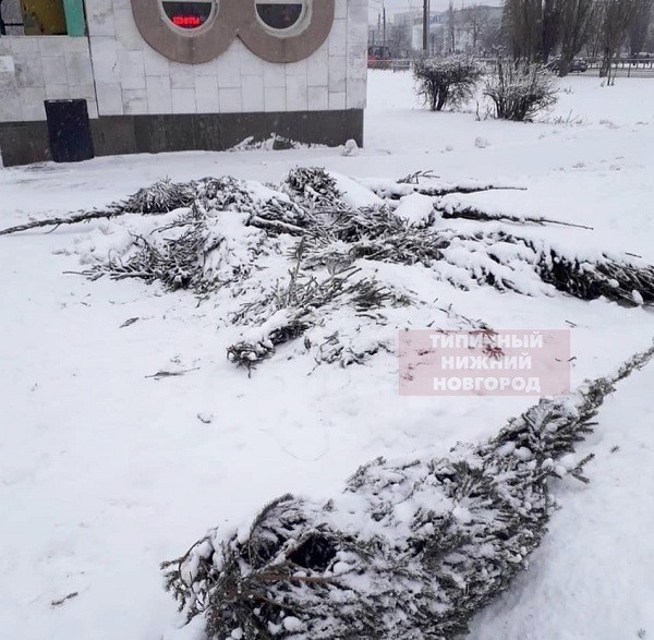«Кладбище ёлок» появилось на улицах Нижнего Новгорода «Кладбище ёлок» появилось на улицах Нижнего Новгорода
