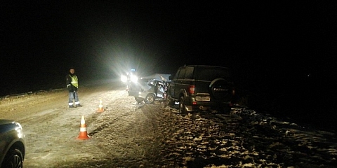 Появились подробности смертельного ДТП с семью пострадавшими в Богородском районе Появились подробности смертельного ДТП с семью пострадавшими в Богородском районе
