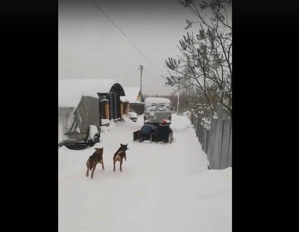 Балахнинцы показали необычную уборку снега