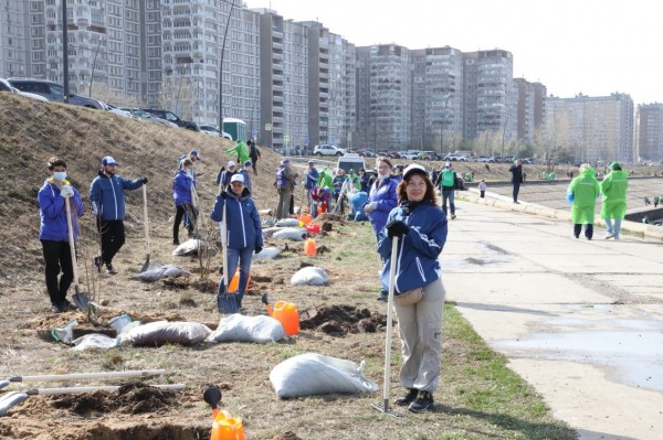 Более 35 тысяч жителей Нижегородской области присоединилось к Всероссийскому субботнику 