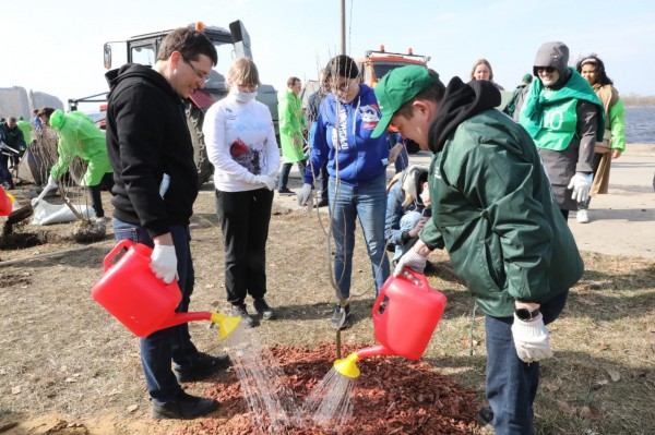 Более 35 тысяч жителей Нижегородской области присоединилось к Всероссийскому субботнику 