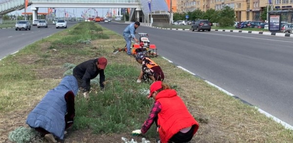 Площадь цветников в Канавинском районе увеличат в четыре раза