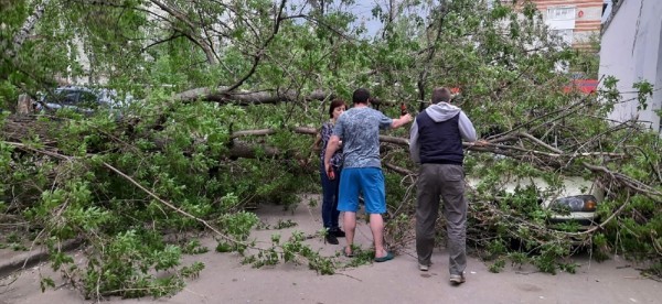 Последствия урагана: нижегородцы делятся кадрами падающих деревьев и разбитых машин