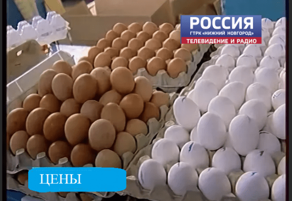 Куриные яйца подешевели в Нижегородской области Куриные яйца подешевели в Нижегородской области