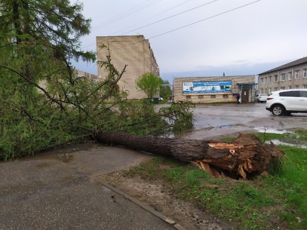 Последствия урагана: нижегородцы делятся кадрами падающих деревьев и разбитых машин
