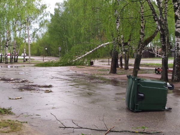 Последствия урагана: нижегородцы делятся кадрами падающих деревьев и разбитых машин